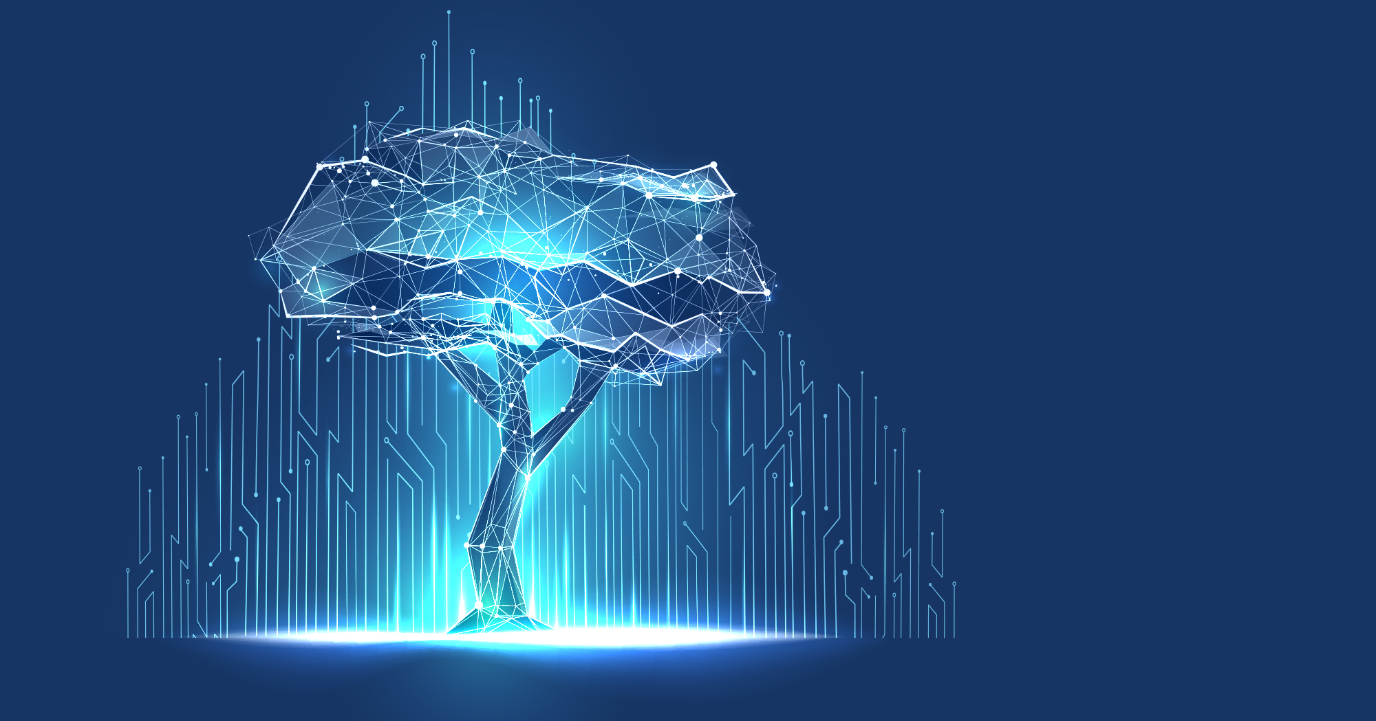 Jede IT-Lösung und jeder IT-Service braucht die richtige Technologie. Wir von interface-it arbeiten mit der unterschiedlichsten Hardware und vielen Software-Tools und Produkten. Wir sind Partner mittelständischer Unternehmen sowie mittlerer und kleiner Unternehmen. 