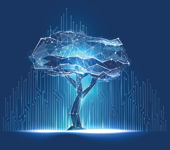 Übersicht unserer eingesetzten IT-Technologien für Unternehmen und Organisationen – www.interface-it.de